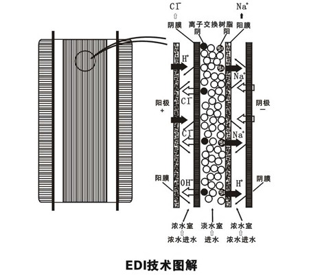 EDI模块工艺图